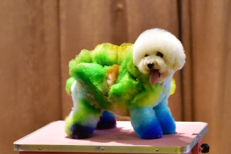 美容师都能闯下多大祸
我一朋友给顾客做臀疗，顾客想放屁，但是不好意思，一直夹着屁