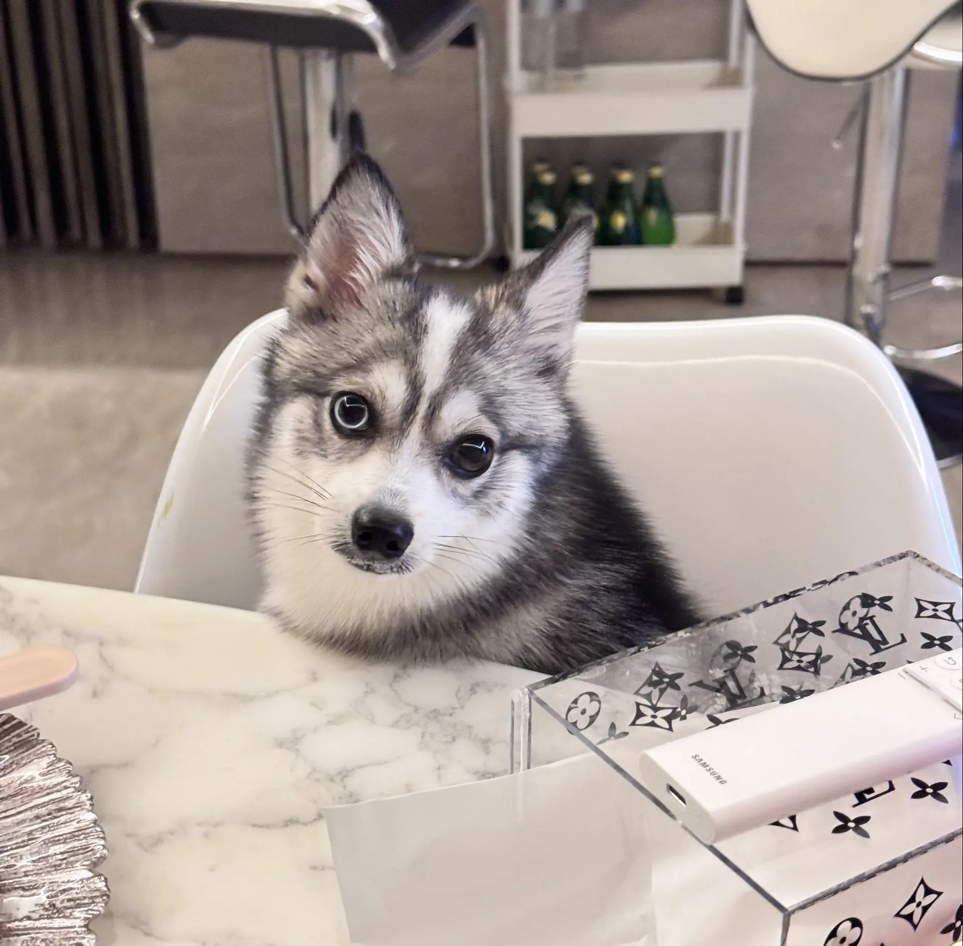 永远喜欢热烈又真诚的人
