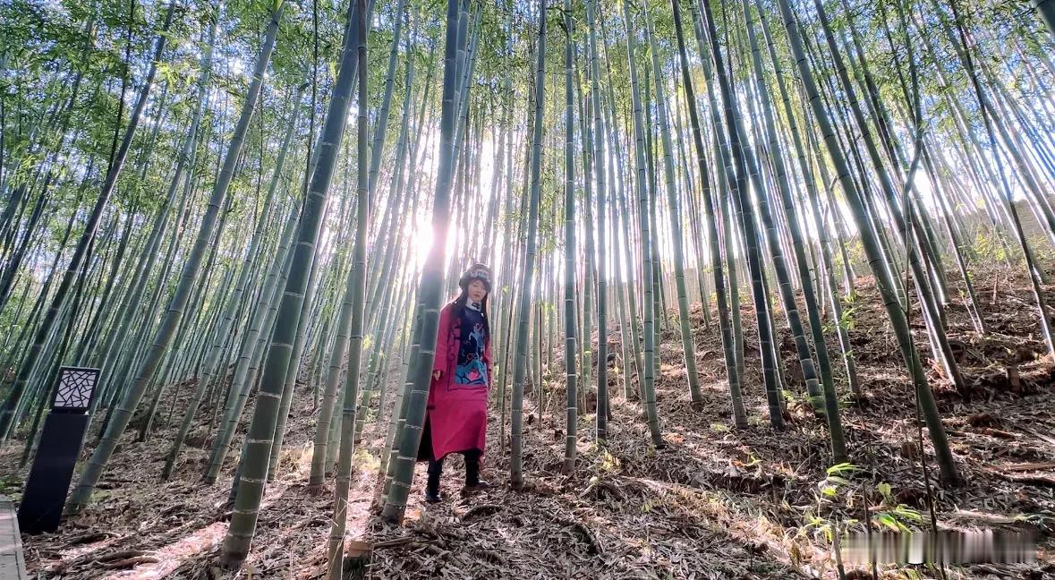 冬临周至，美韵深藏。虽冬意萧瑟，但内心始终盼着春的讯息。正如“不识庐山真面目，只
