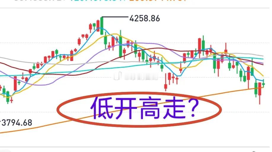 家人们，又复盘到深夜，希望黑眼圈能不那么明显…今天大盘还算是强势，明天大盘可能低