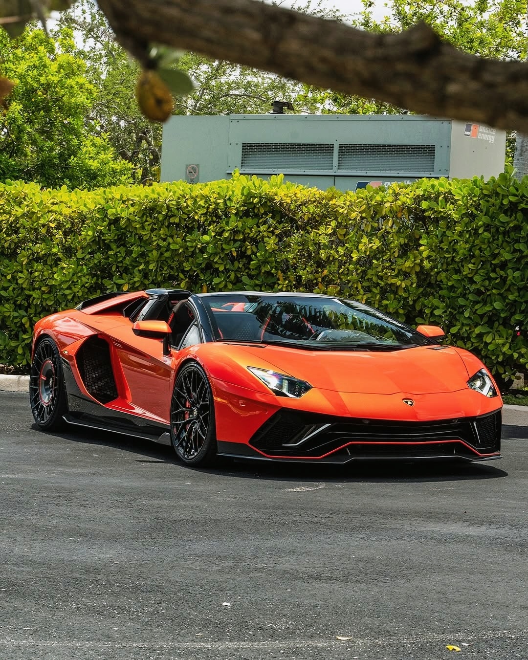 Lamborghini Aventador Ultimae Roadster汽车