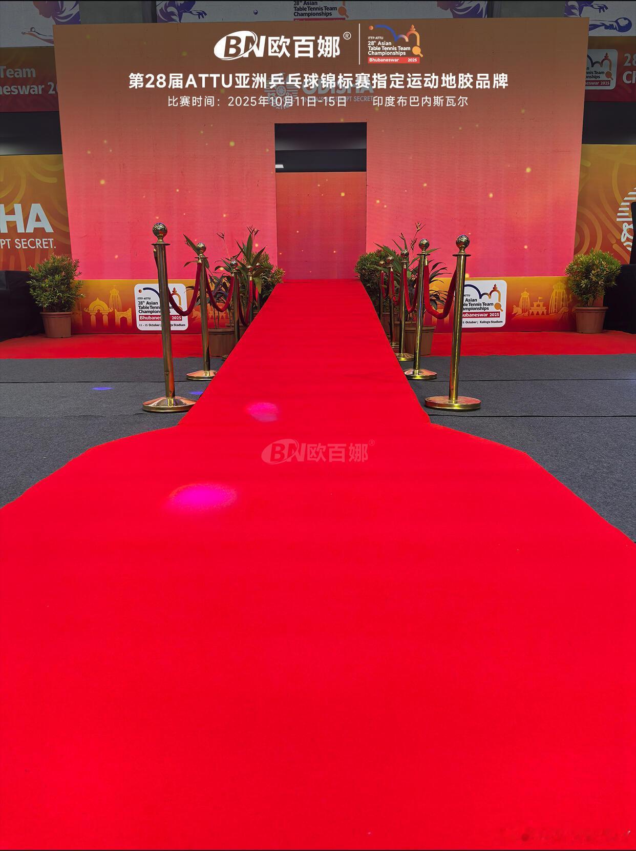 场馆布置好了 也不能太挑理了 就这样吧紧赶慢赶的能布置出来就不错了[二哈] ​​