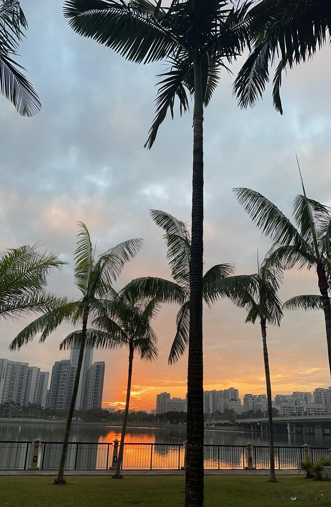 来珠海已经有三十几天。初到时，被这里潮润温热的气候包裹，确实有些不适；如今却渐渐