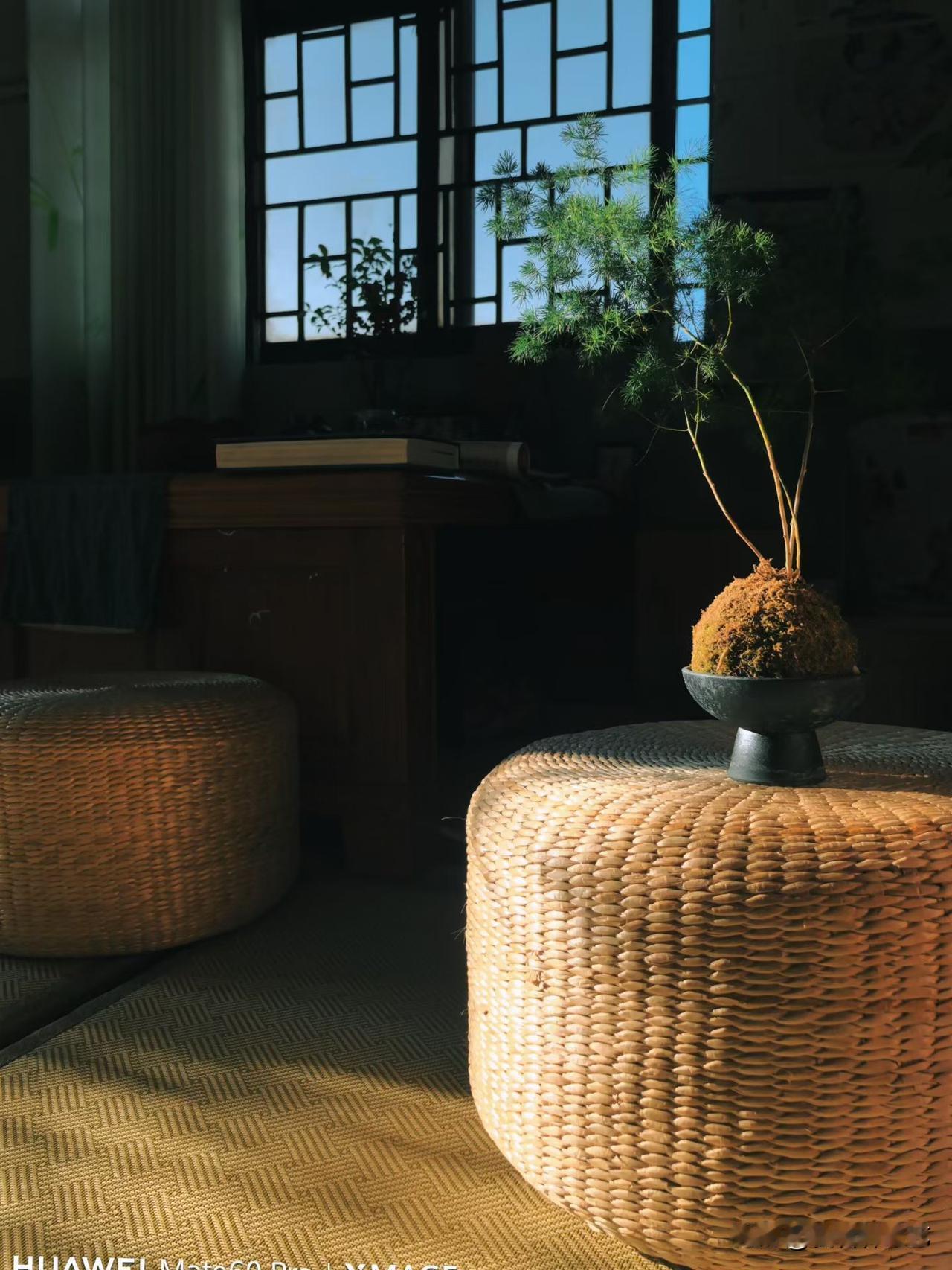 集卡领红包窗棂漏进软光，藤墩裹着暖黄，苔藓球里的细枝轻晃。旧桌与疏影在屋角织成静