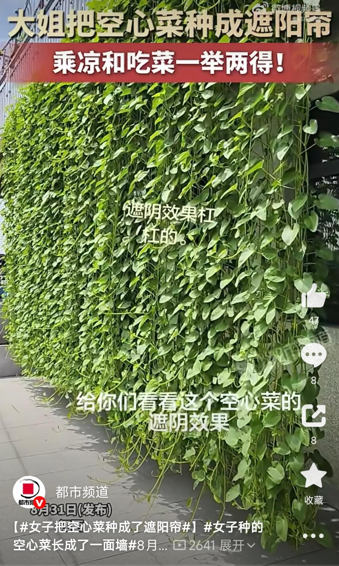 效果杠杠的！江西，女子夏季房屋西晒闷热难熬，她脑洞大开，解锁了一个超实用的降温妙