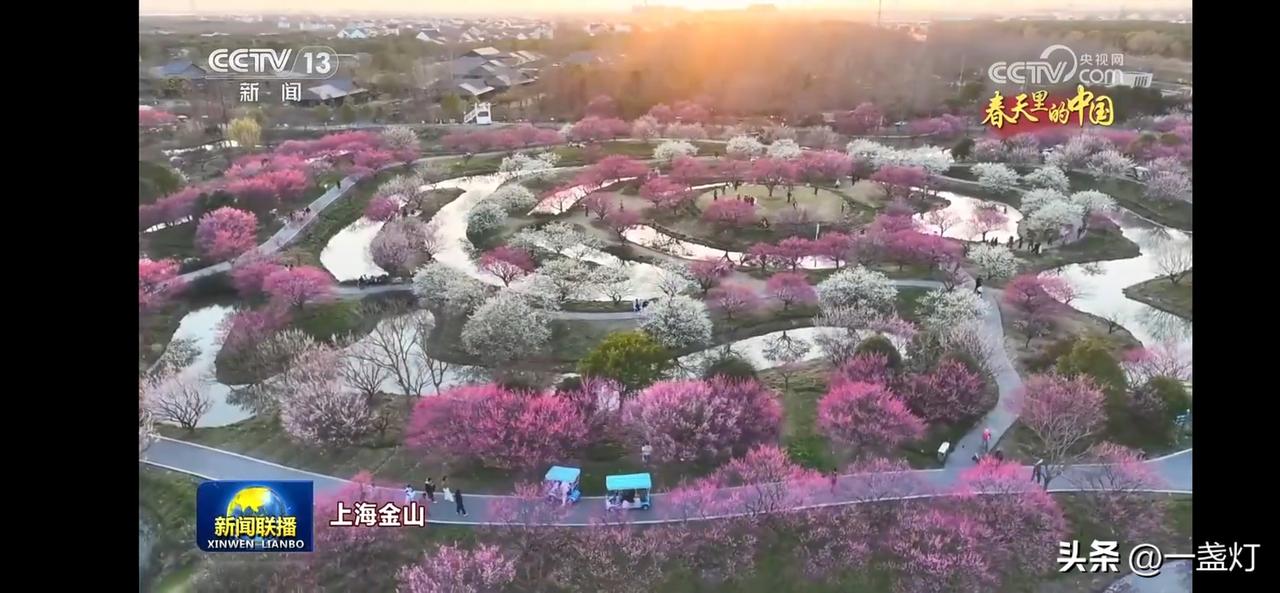 美丽中国花香万年