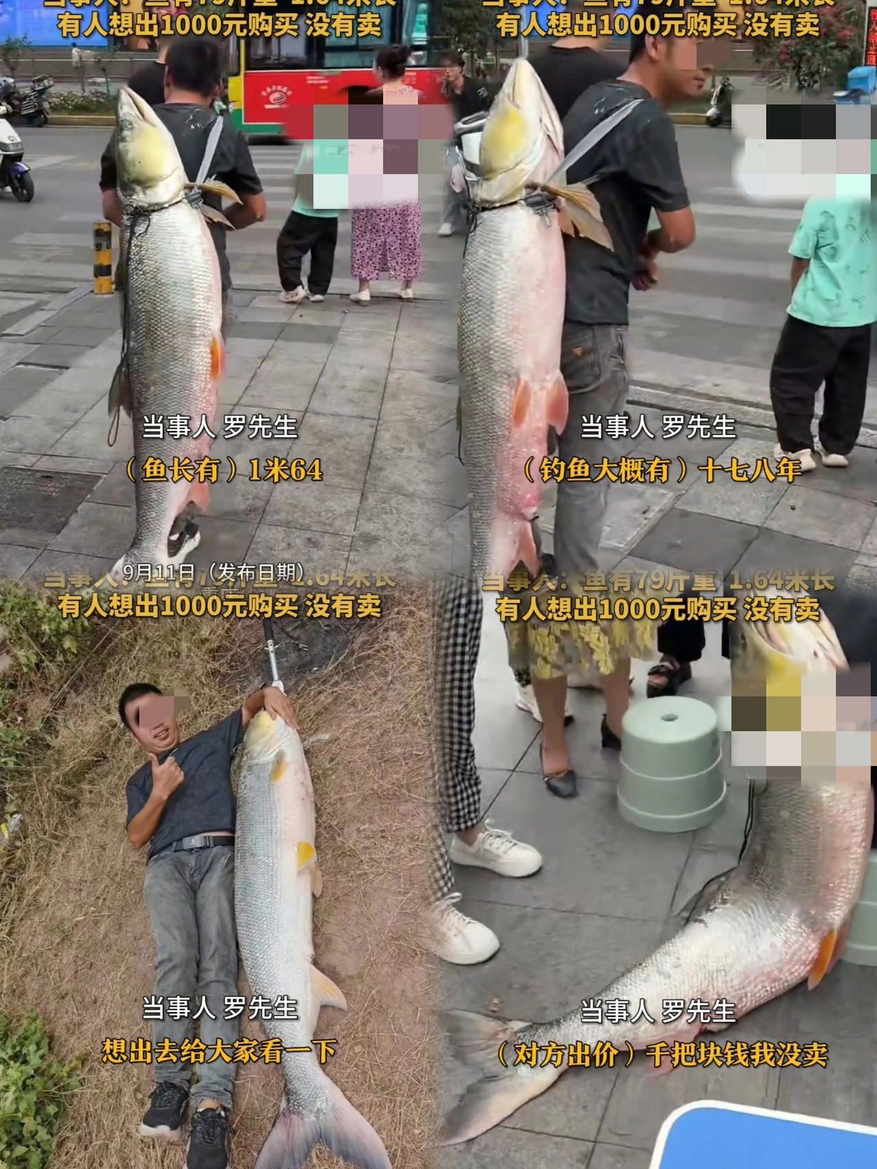 如果炫耀分等级，那这绝对是最强王者！
钓鱼佬钓上“大货”，背着鱼满街溜达，
谁曾