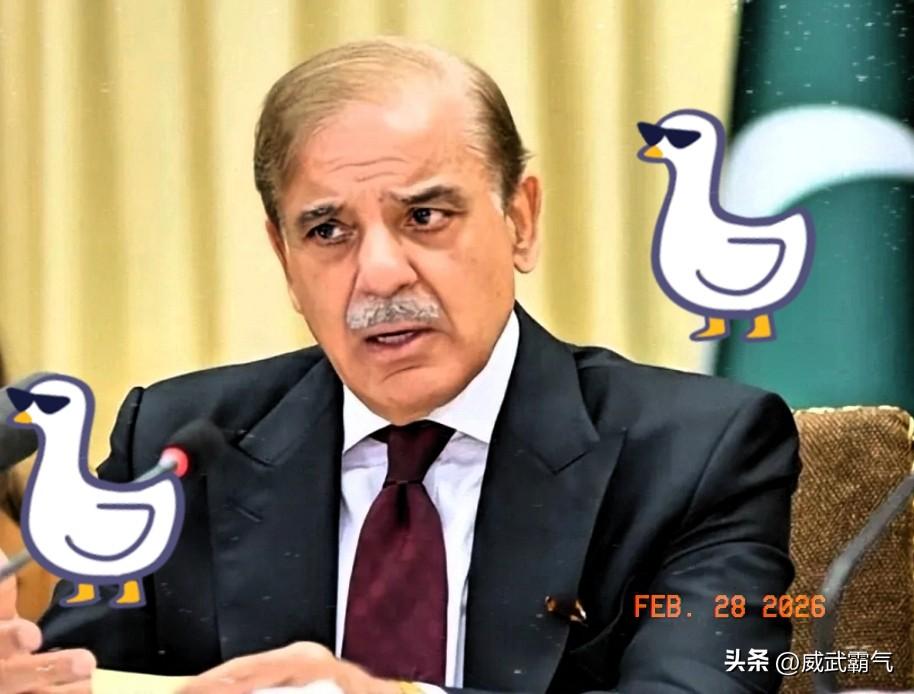 巴基斯坦防长说得直白又决绝：耐心彻底耗尽了。国内接连不断的恐怖袭击，顺着线索查到