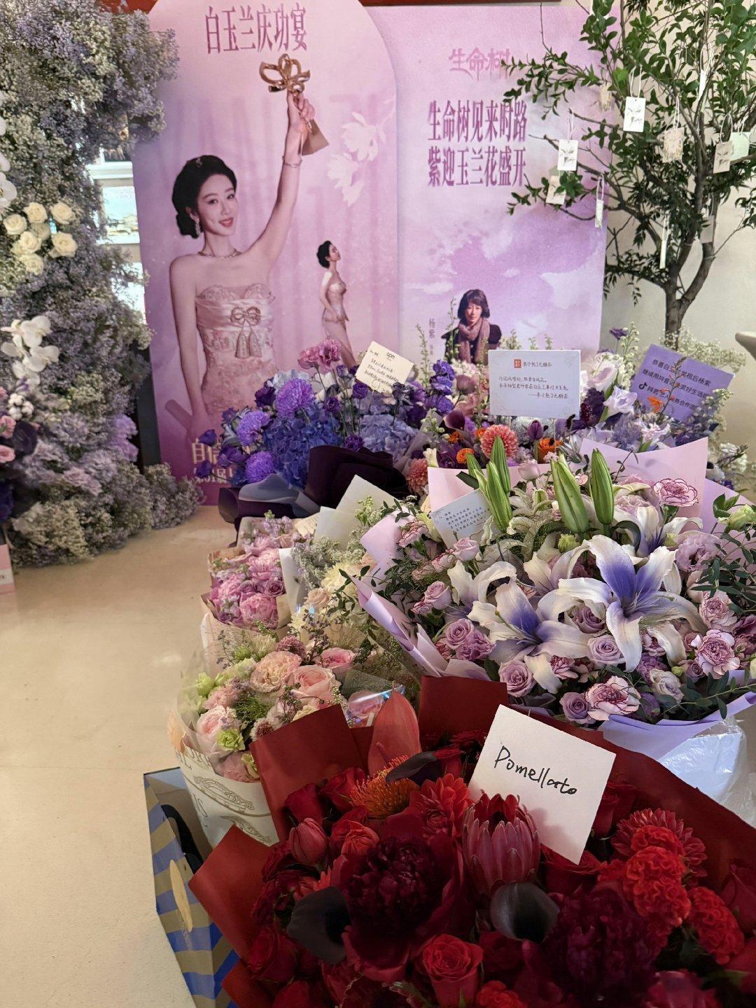杨紫杨紫李祯 yz杨紫生命树 "𝐁𝐥𝐮𝐞 𝐨𝐜𝐞𝐚𝐧 𝐟𝐥