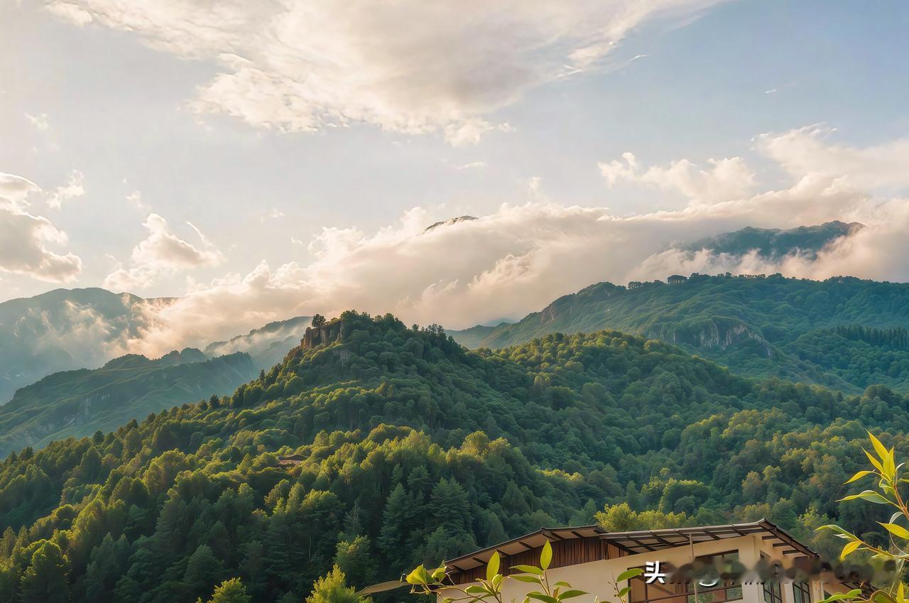 上周在浙西的山里住了两晚，刚好撞上雨后放晴的清晨，推开门整个人直接愣在原地。
海