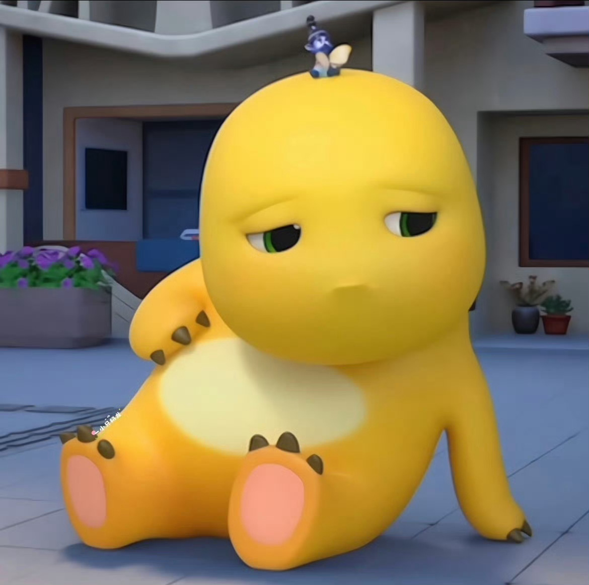 啊洒啊洒 ​​​