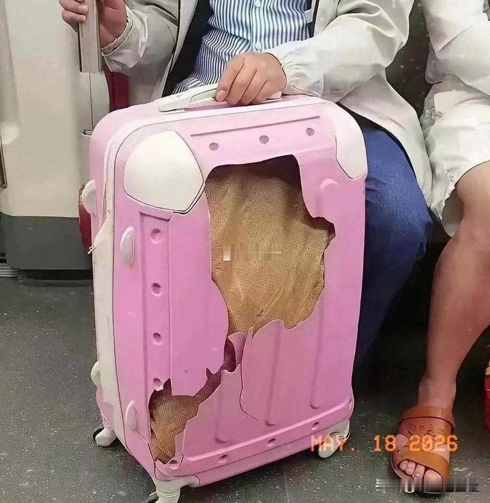 视觉骗局，被骗的举个手。