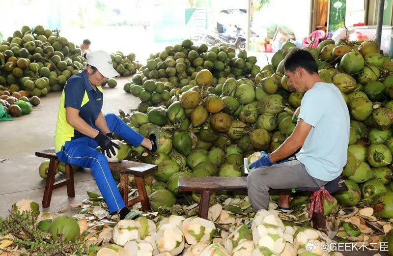 椰树集团要买50台机器人剥椰子近日，椰树集团海南椰汁饮料有限公司发布《人形机器人