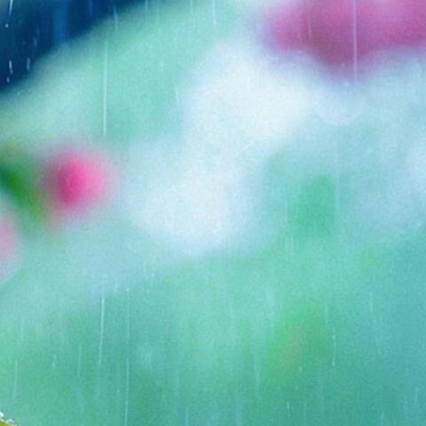 森林驿站  💫阳光信用  💫森林驿站 人生最大的喜悦，就是遇见彼此同频道的那