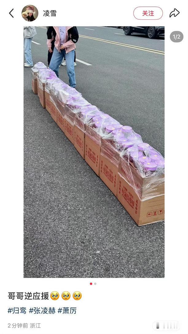 张凌赫归鸾杀青逆应援 