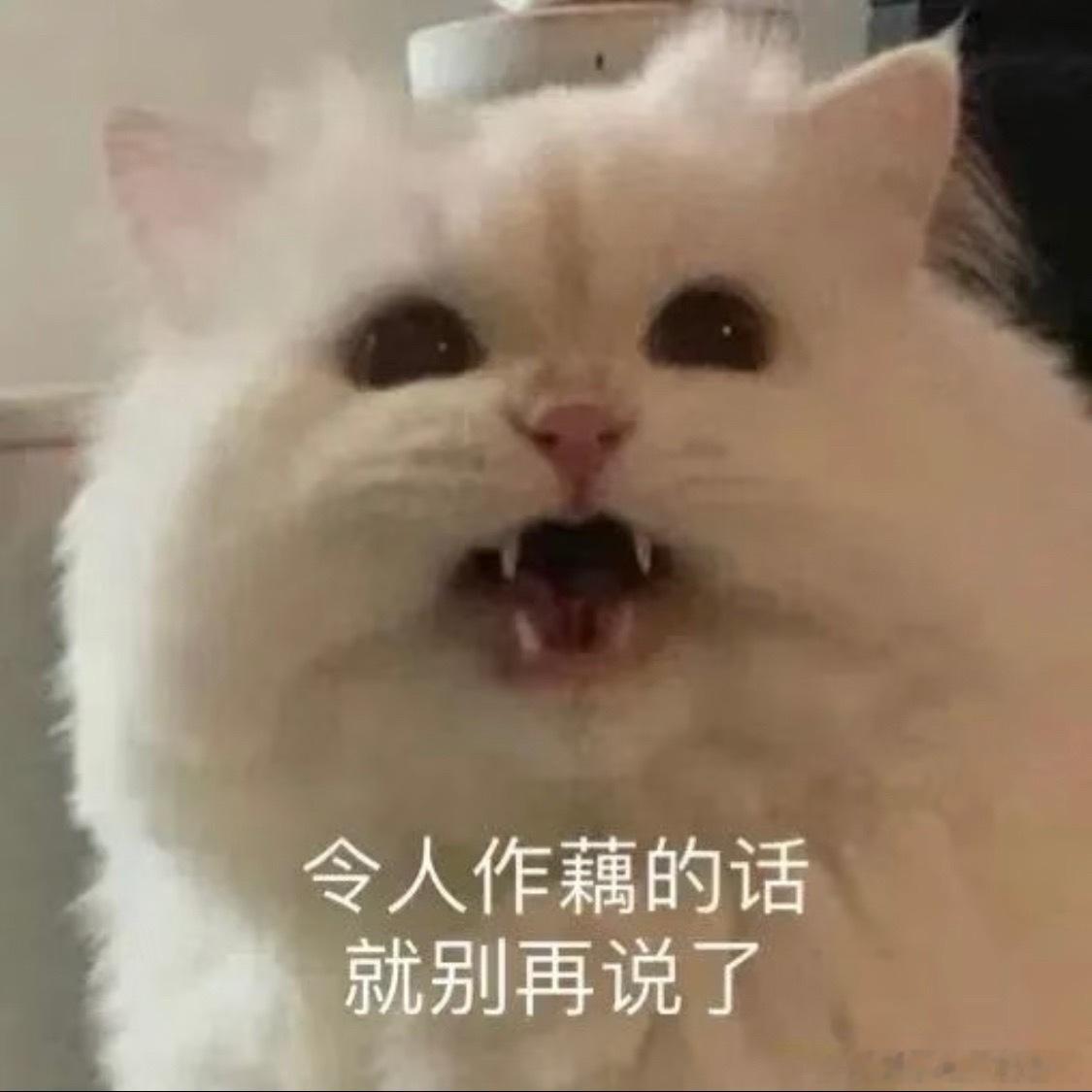 暑期档被说黑马的剧来了哪有自己买营销吹黑马的，真扑了又当没播过。踏踏实实播出是做