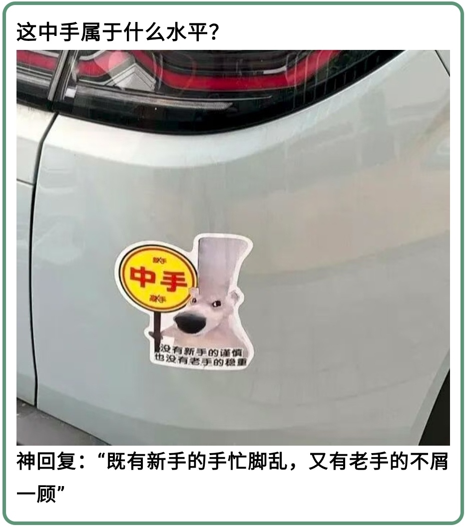 “中手”属于什么水平？网友神回复：既有新手的手忙脚乱，又有老手的不屑一顾[允悲]