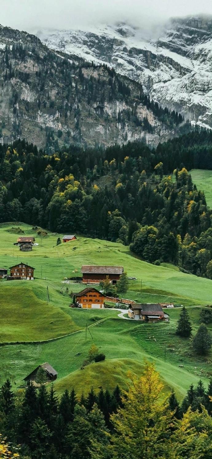 事实证明，香港的明星不爱医美 