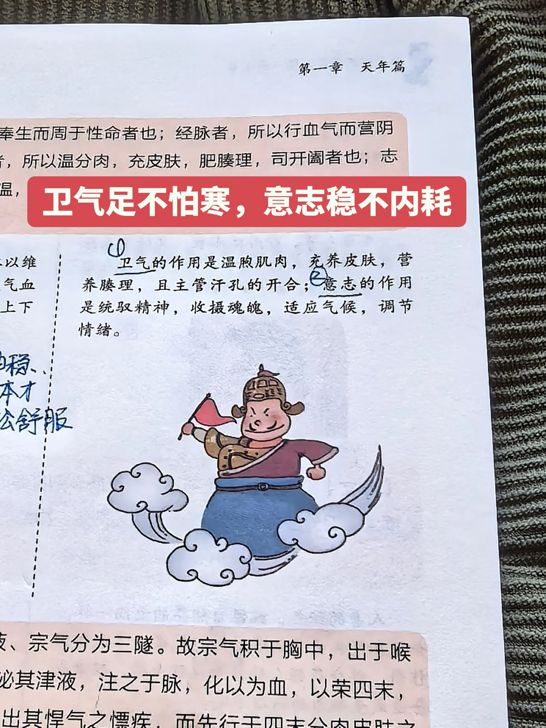 养好卫气稳意志，身心状态才在线。卫气其实是我们体表的保护屏障✨， 负责...
