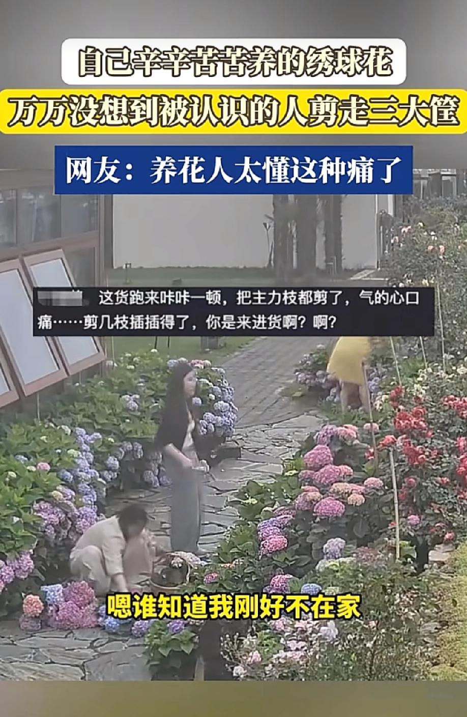 真气人！5月24日，舜网报道，一名女子在社交平台上哭诉，自己辛辛苦苦养了好几年的