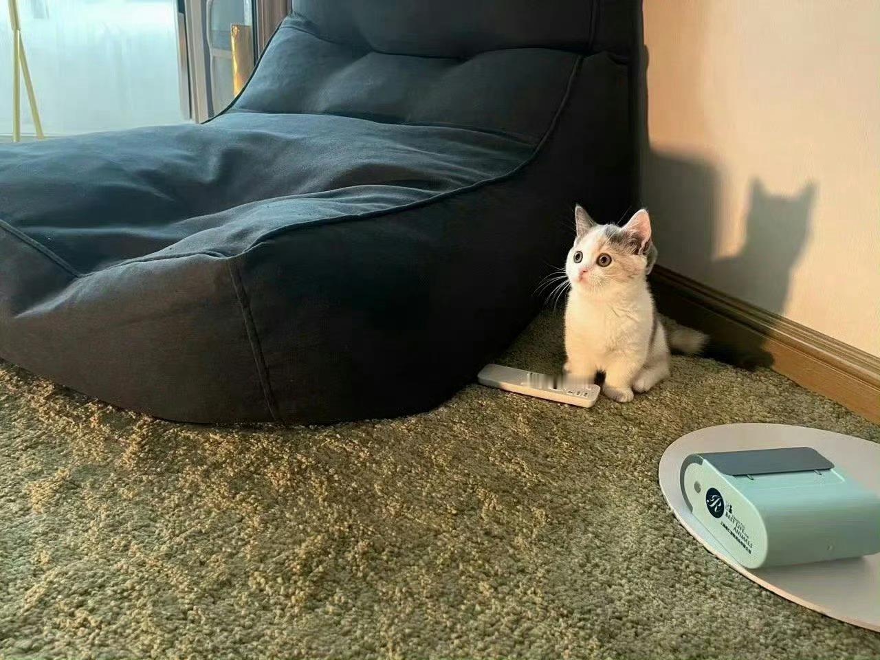 猫咪宝，别看了，明天还要上学[抱一抱] ​​​