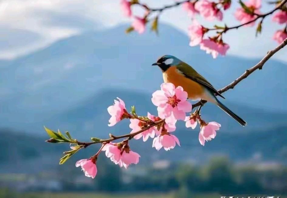 对门邻居女孩，考研究生第三年。说第一年只差几分，第二年差1分，今年坚持考第三年，