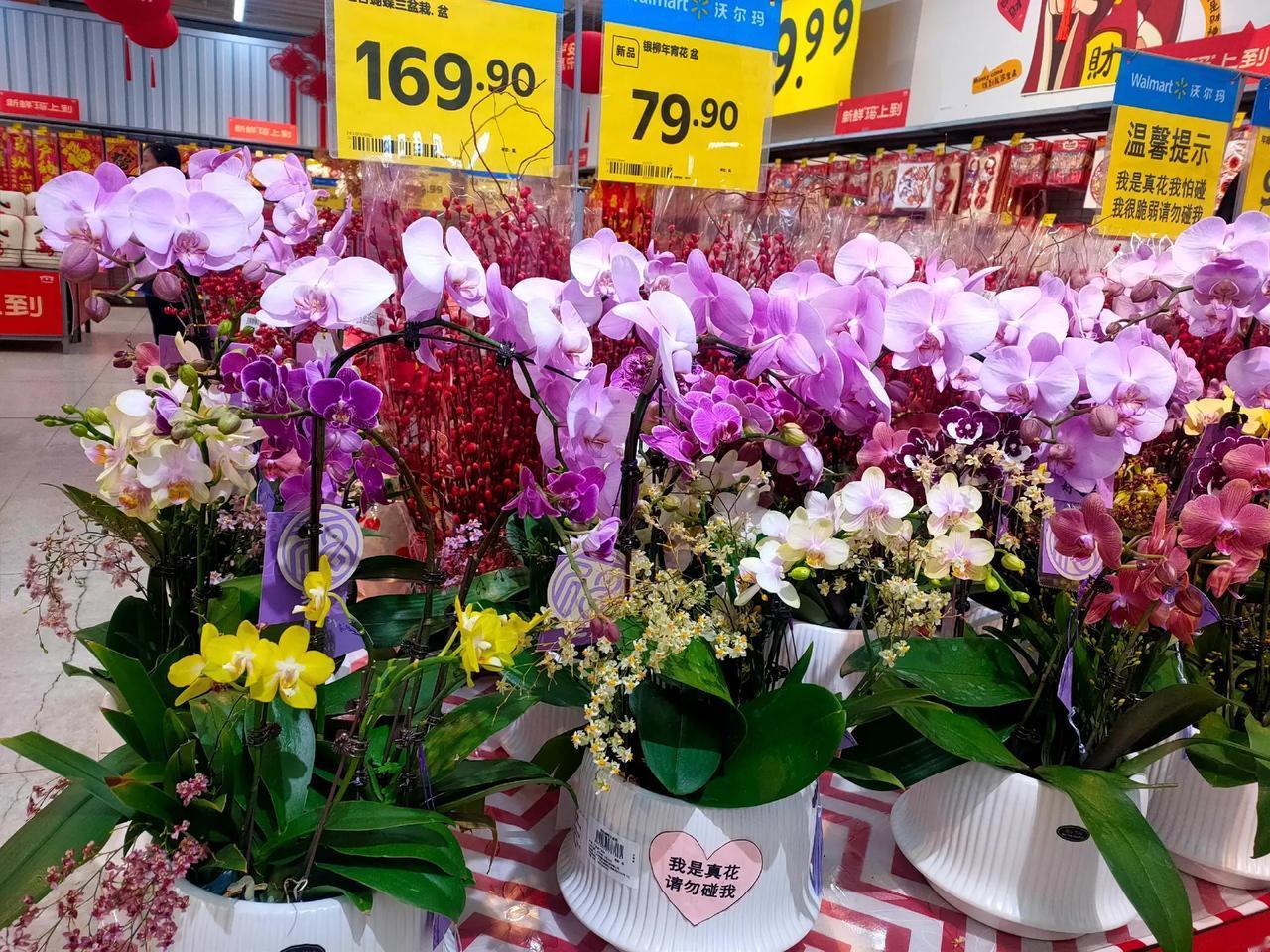 玩法合伙人计划生活的美无处不在