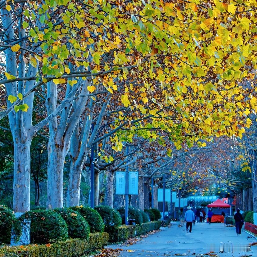 “之前和客户吃饭，酒过三巡，做过糊涂事，有过备案，单位背调会受影响吗？”

了解