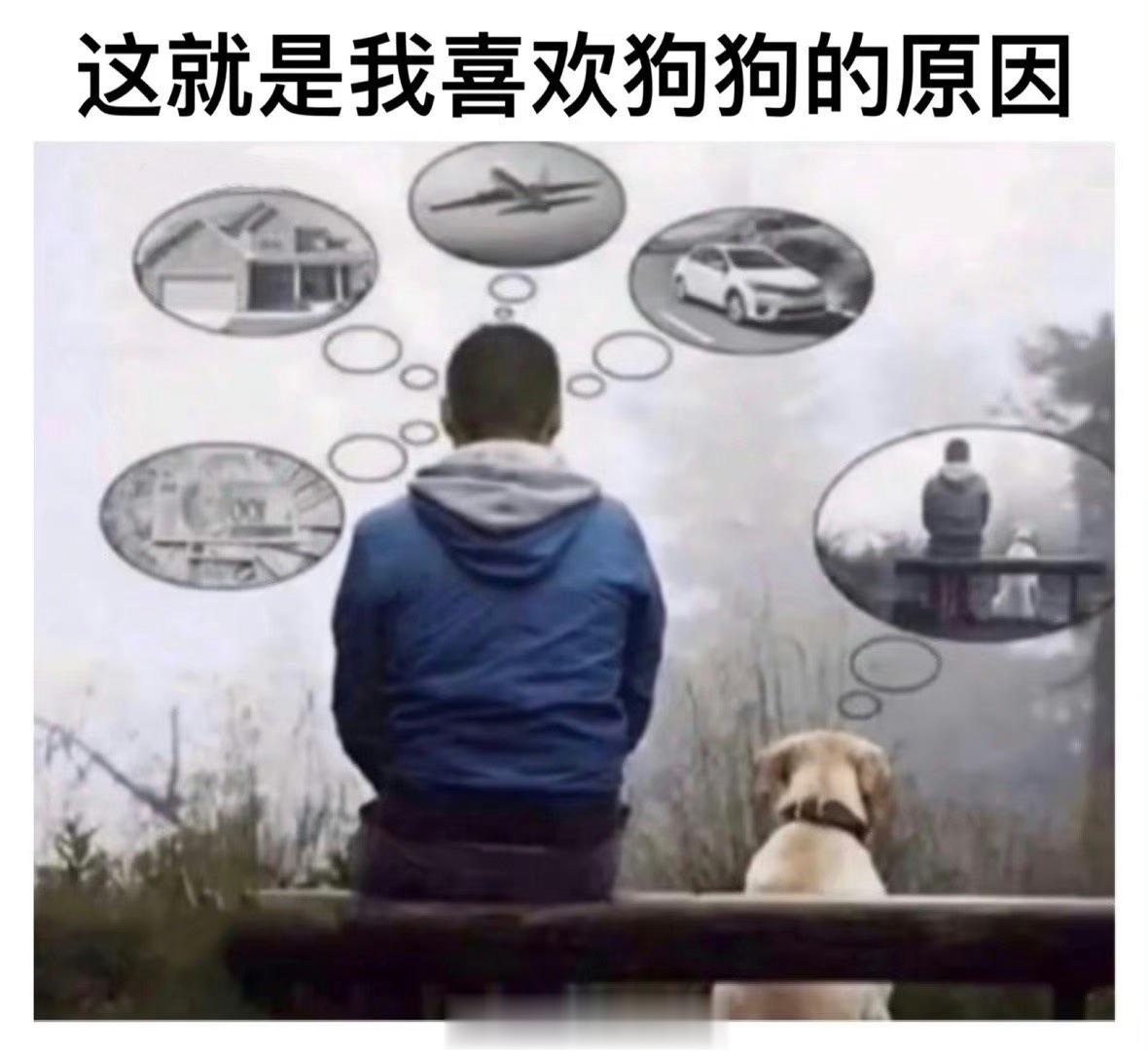 #meme##me_irl# ​​​