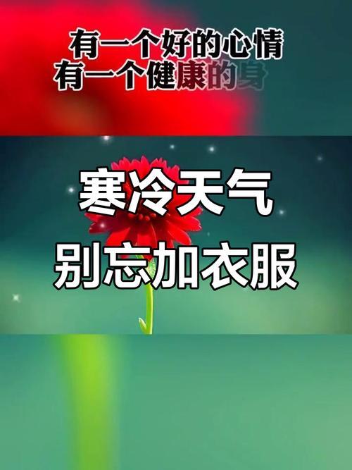 小寒“冻到抖”：那些被老辈说烂的保暖规矩，藏着最戳心的人间暖意

“小寒时处二三