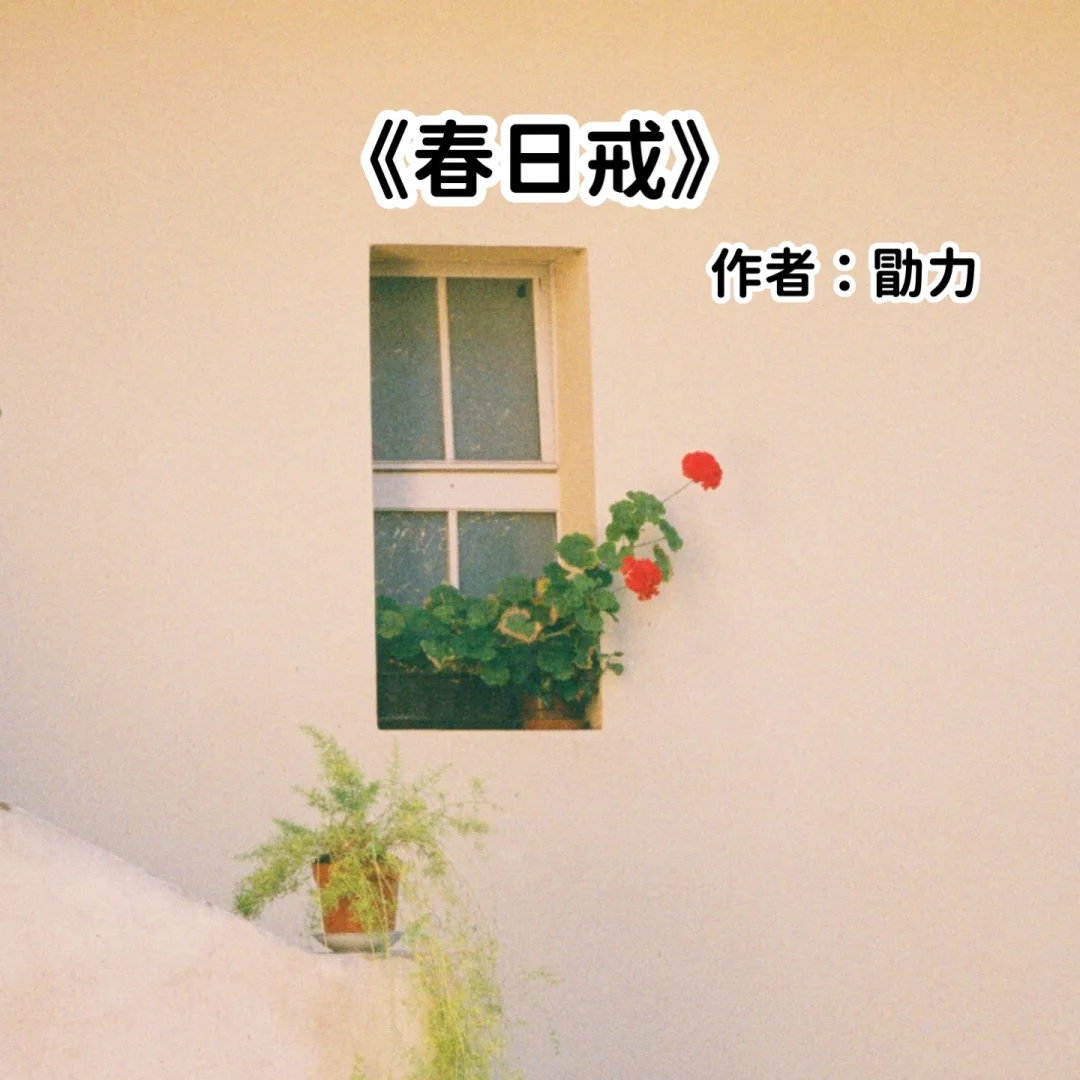 宅家小说｜熟男熟 女《春日戒》