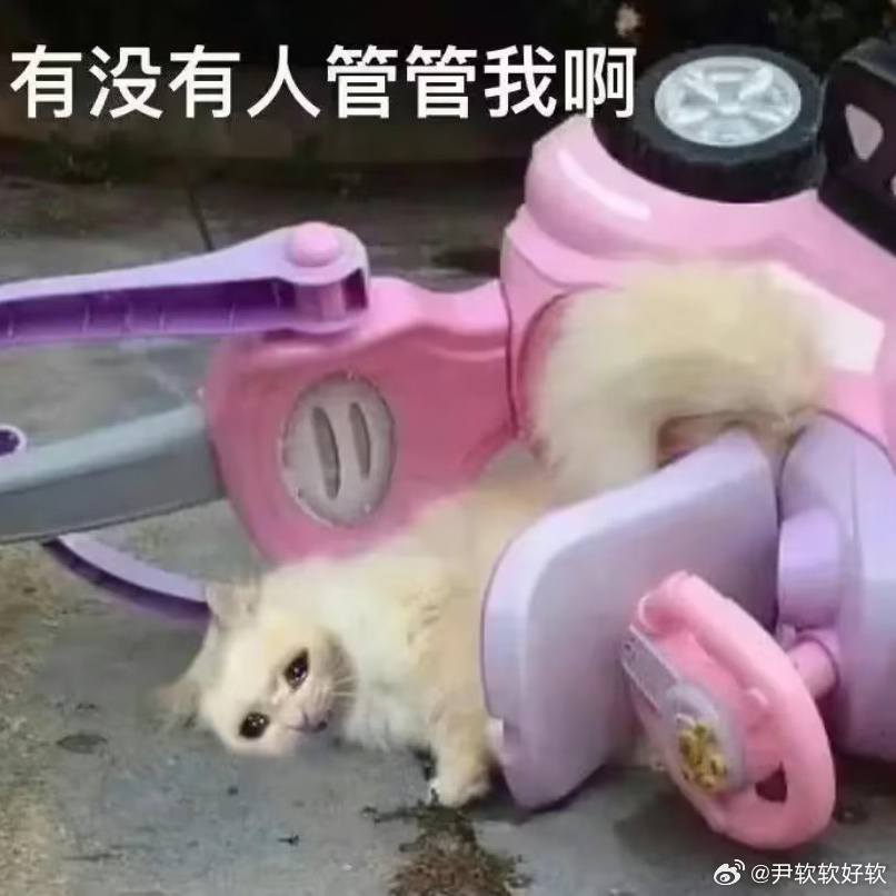 咪上班上到现在也没喘口气累咪啊