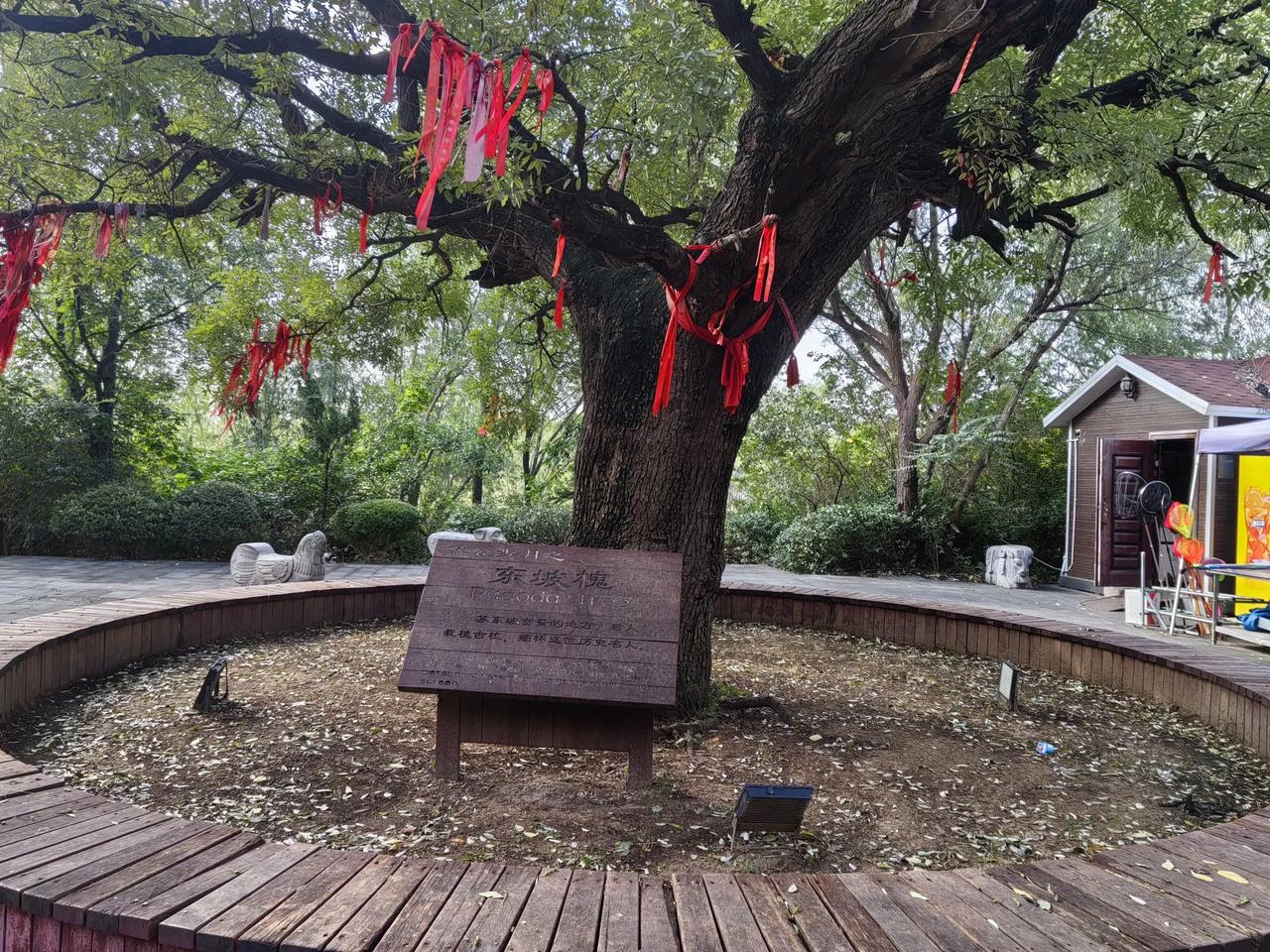 🌈超盟易购(佳宝)超市
喜迎国庆⚡钜惠狂欢⚠️
大型活动开始啦
活动时间9月2