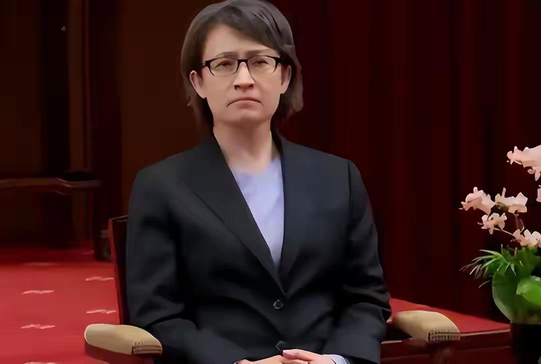 中方几轮外交劝阻，没能拦住台独分子的窜访脚步。一场藏到极致的秘密行程，在欧洲腹地