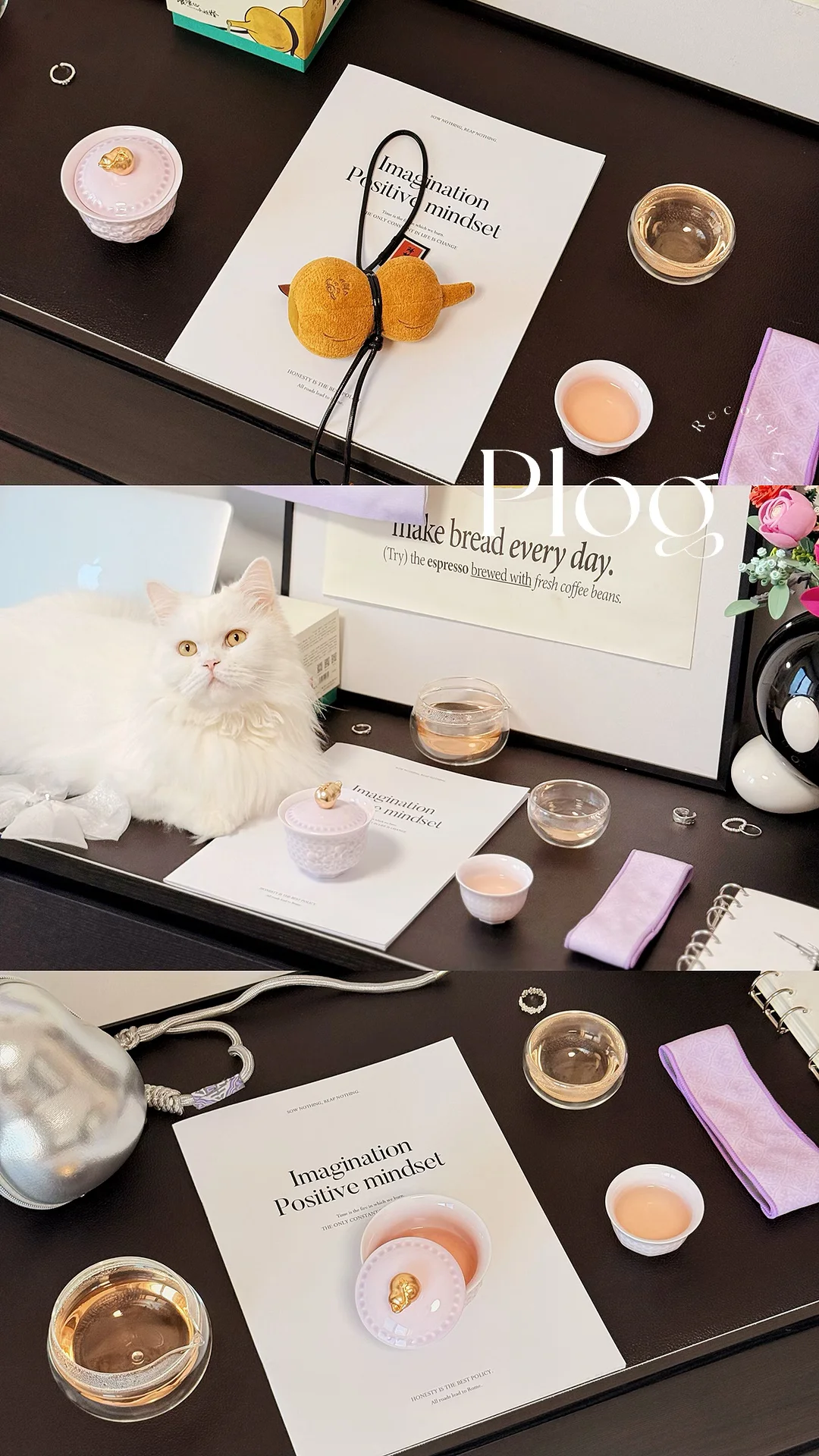 My life｜转葫，转福，转运🤍💜