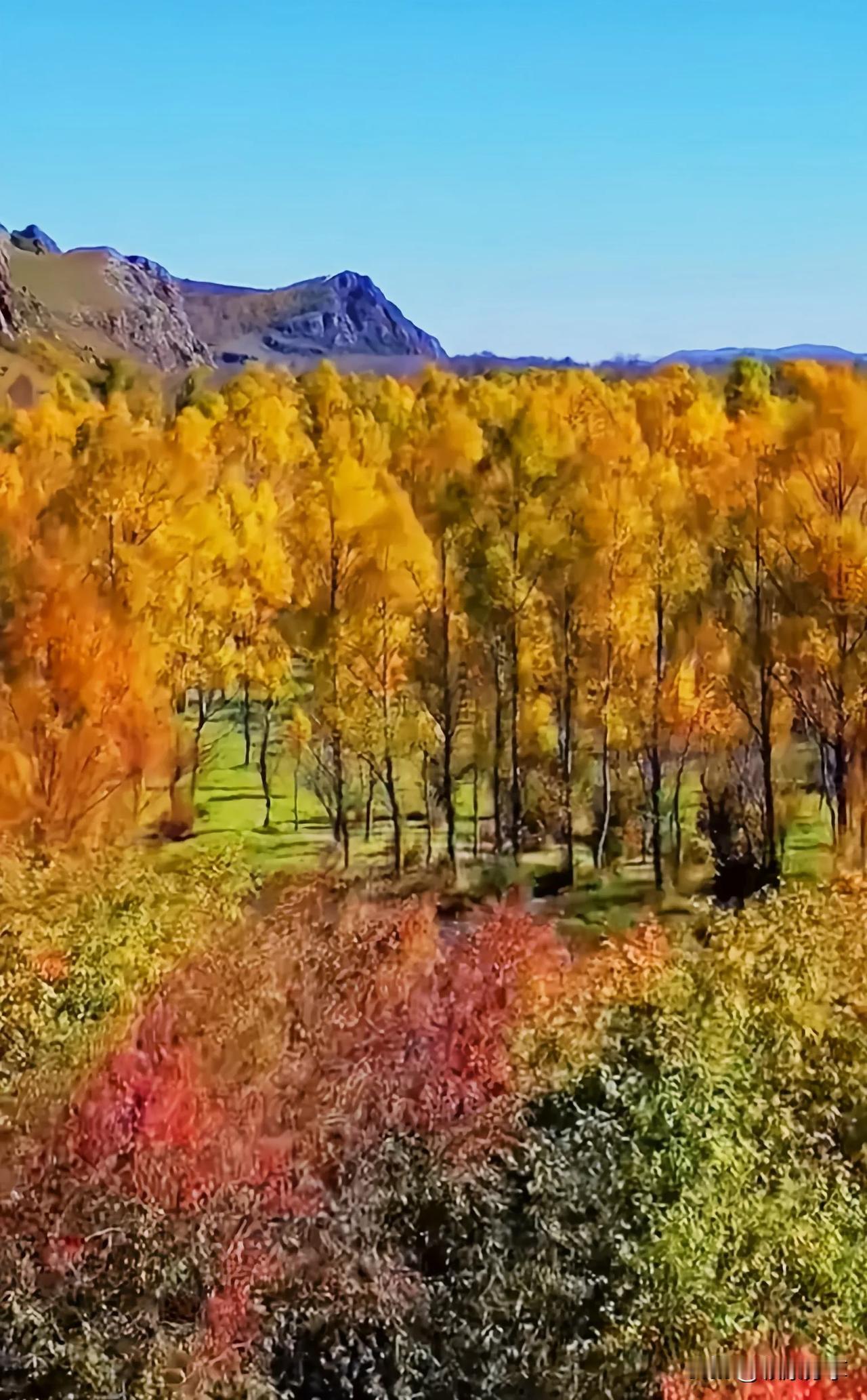 青山绿水，相映成趣。山的巍峨壮观，水的清澈灵动，构成了一幅如诗如画的自然画卷。在