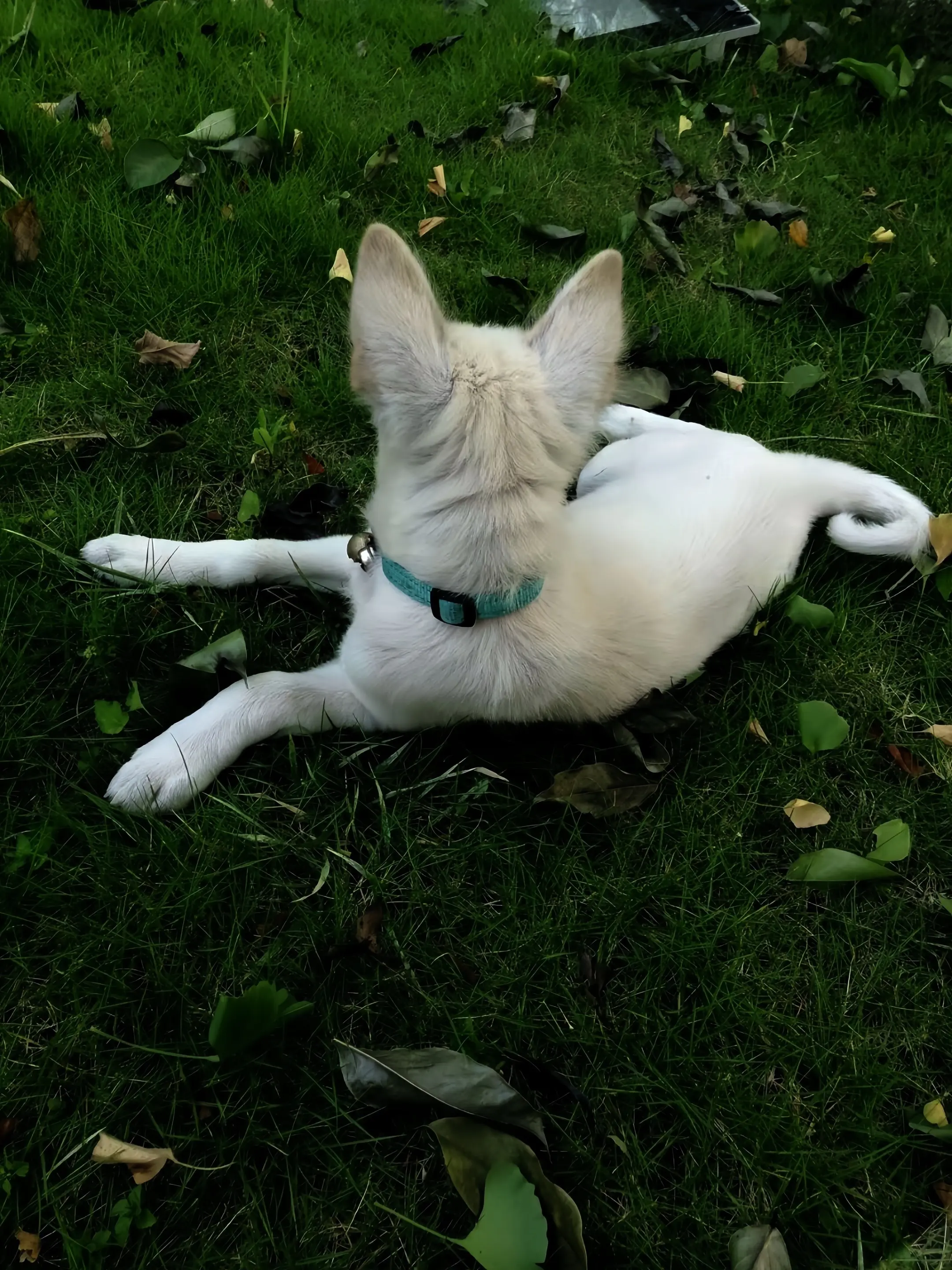 前奏一响、夏日登场