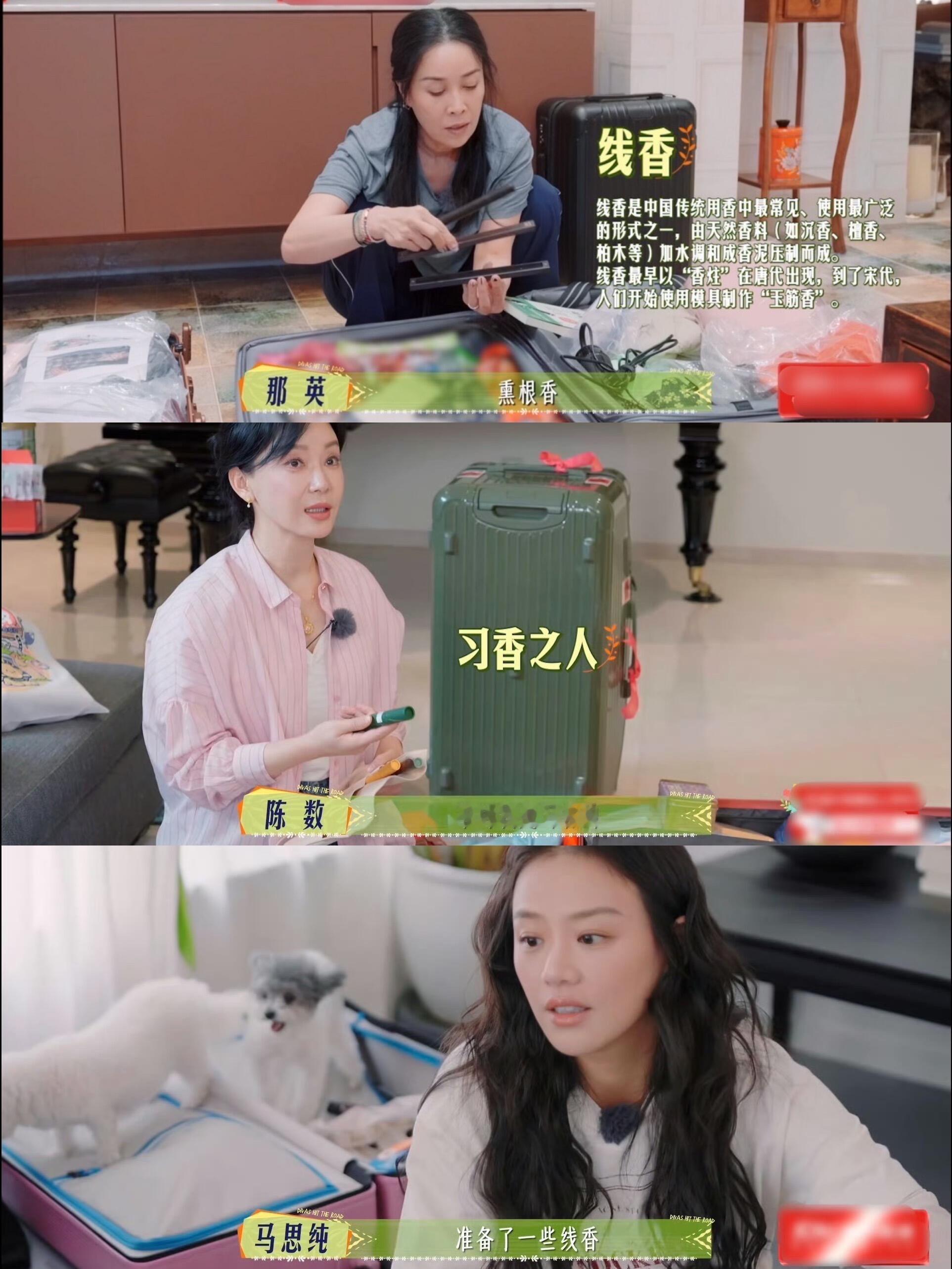 花儿与少年·焚香季那英陈好马思纯都带线香了，一想到他们在国外酒店里熏香就想笑花儿