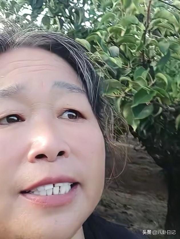 没有厉怀远帮忙，邻居婶婶家的梨子照样能马上卖完。

婶婶今天在梨园拍视频，她说梨