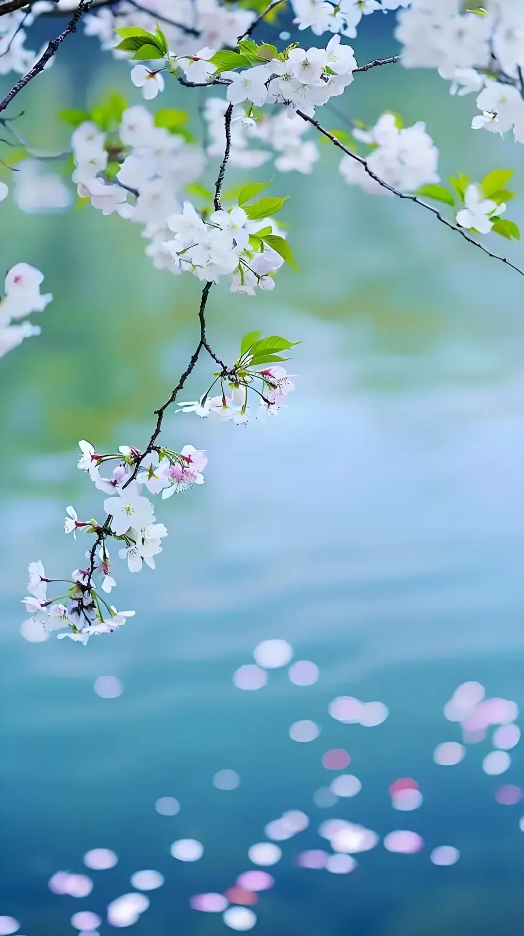 我们该做的能做的便是等待，等到明媚的春，灿烂的夏，枫红的秋，岁暮的冬，你要相信没