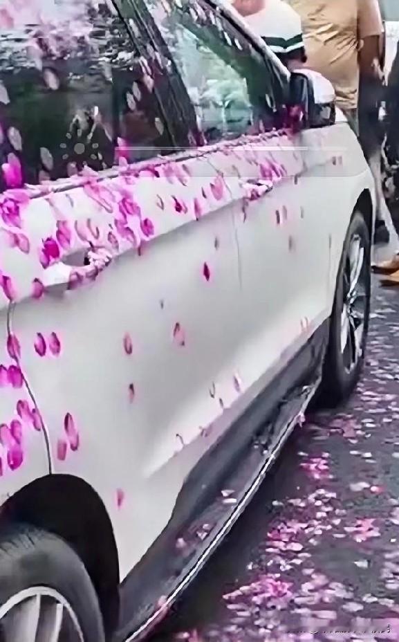 小区楼下刚放完婚礼礼炮，车主们脸都绿了——
 
白车身上糊满粉花瓣，看着挺浪漫