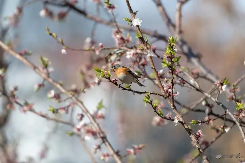 出门晒晒太阳，吹吹风，看看路边的花，整个人都舒服了。
 
不用忙东忙西，就随便溜