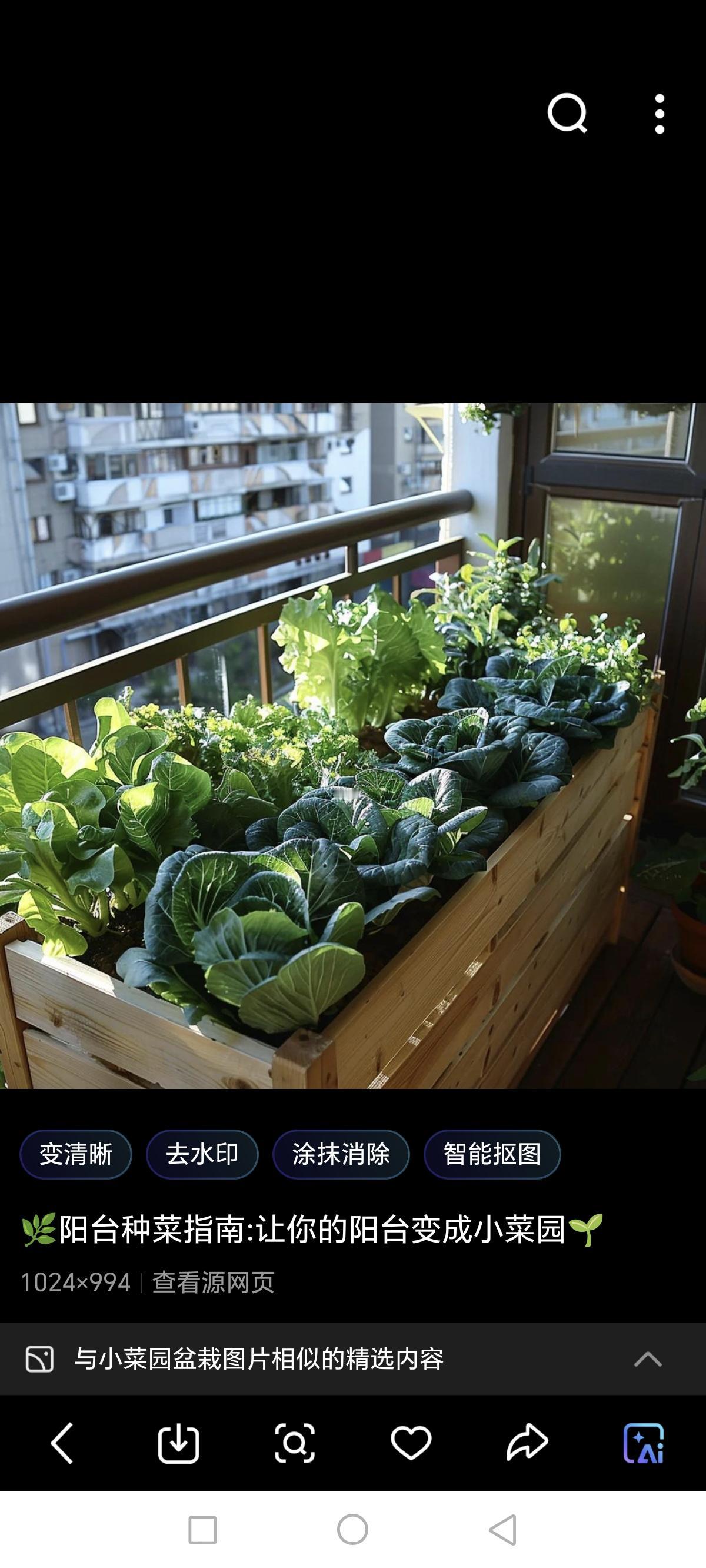 老伴儿的一句话，虽然不是什么经典，金句，却让我开心一整天。

我发现自己真的越来