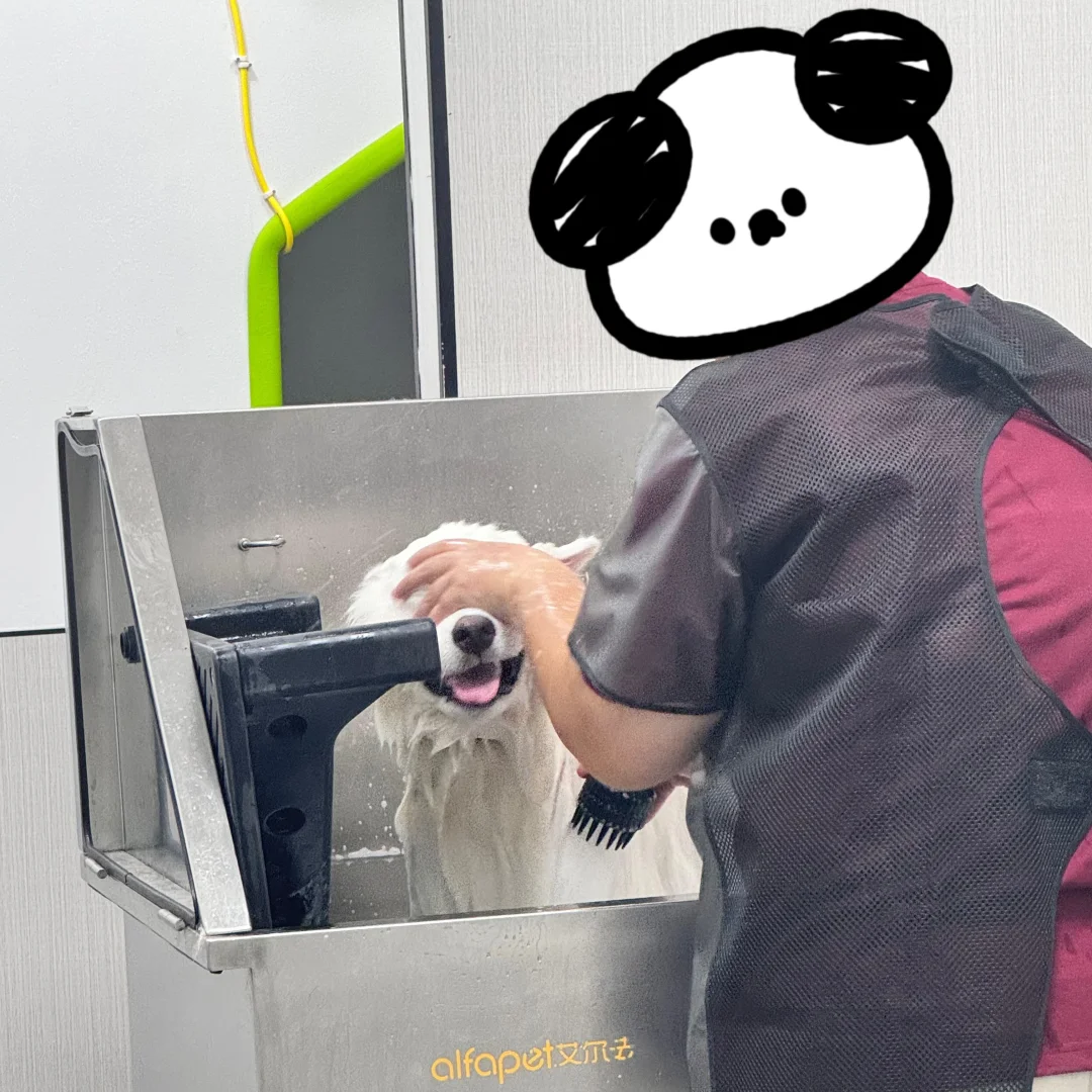 哎呀！是谁捂住了我的眼睛 👀