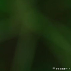 学会以简单对复杂，以纯净对喧嚣，享受蓝天白云的惬意，欣赏一花一草的灵动。 ​​​