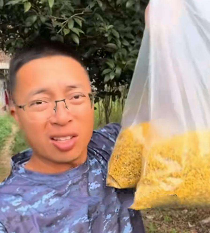 博主“渔猎齐哥”近日曝光了广西一部分商户使用硫磺熏制桂花，同等体积，熏过硫磺的桂