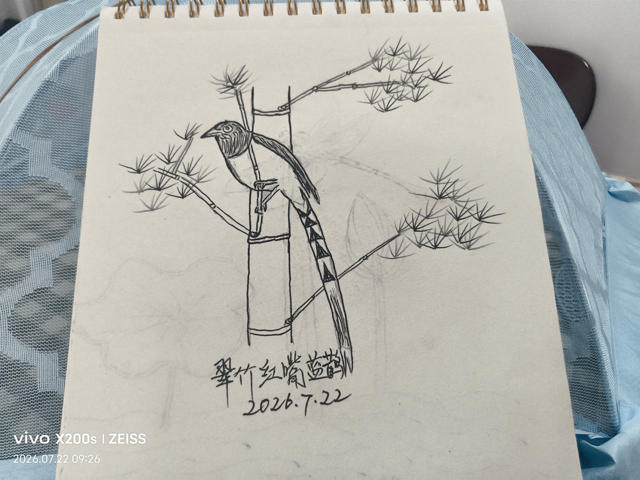 补上昨天没完成的作业
        我自己给自己每天的任务是，上午向《头条》交