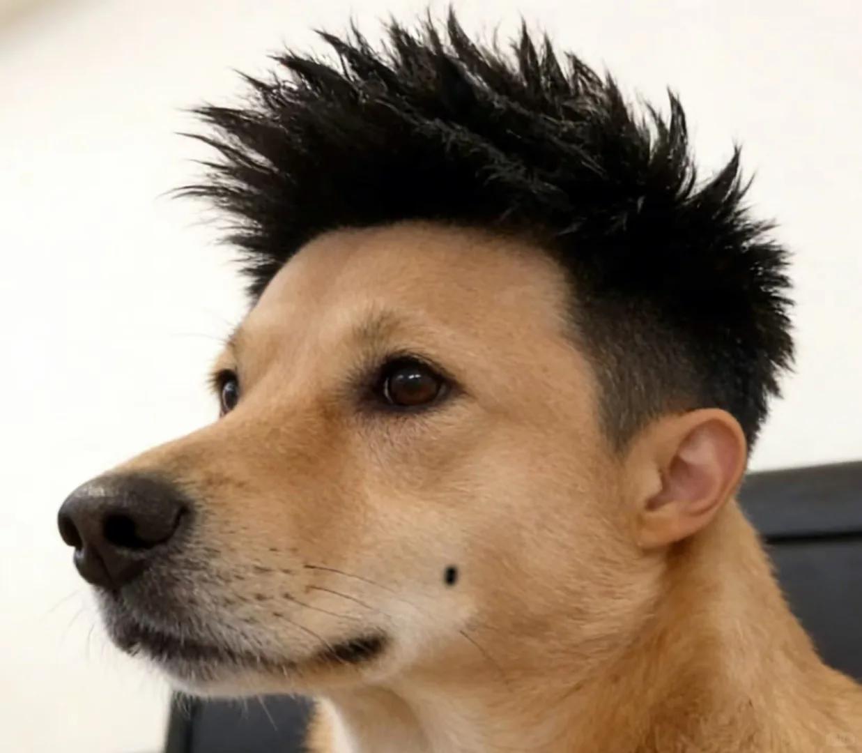 这种头像，你的第一感想到了什么?