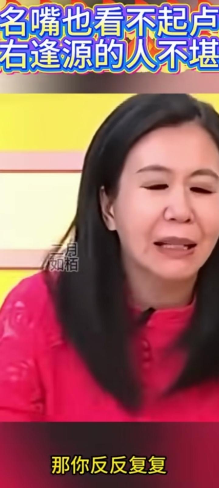 绿营评价卢秀燕，
反反复复。
从美国回来同意8000--10000亿新台币军购，