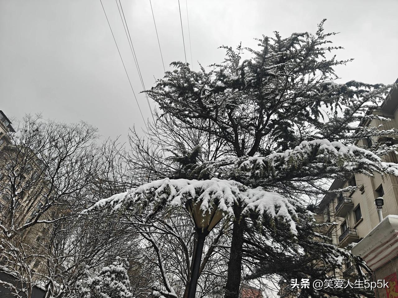 密云的雪整整下了一天一夜，这是春天的首场雪。飞雪迎春至，大地裹银装，马年伊始便有